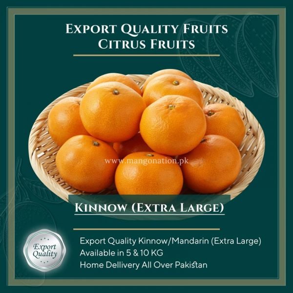 Kinnow - Orange - Mandarin - Export Quality - Extra Large Size