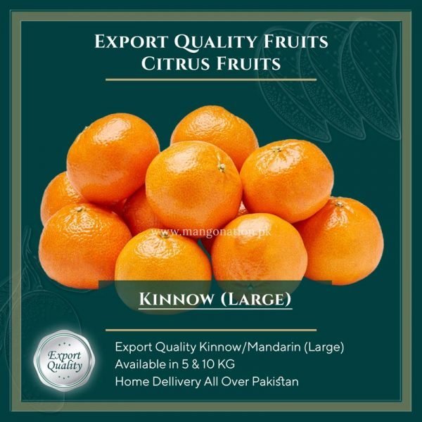 Kinnow - Orange - Mandarin - Export Quality - Large Size