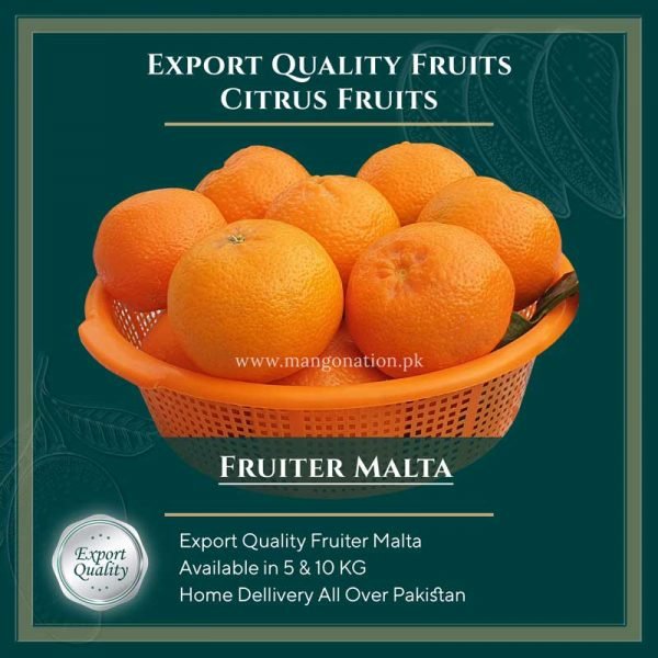 Fruiter-Malta-Orange-Export-Quality