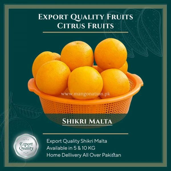 Shikri-Malta-Oranges-Export-Quality
